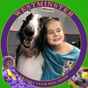 Meet your Posher, Deneen